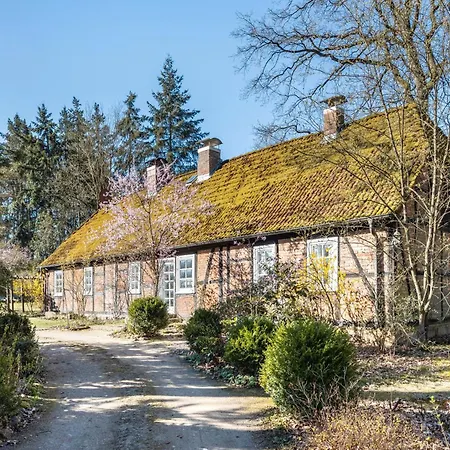 Heidehygge - Mit Wald Eimke