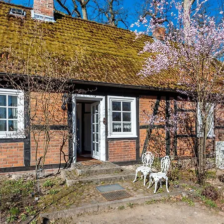 Heidehygge - Mit Wald Apartamento Eimke